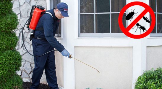 Kula Kene İlaçlama böcek ilaçlama ve haşere kontrolü — ilaclama-tr.com